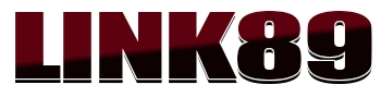 Link89 Logo